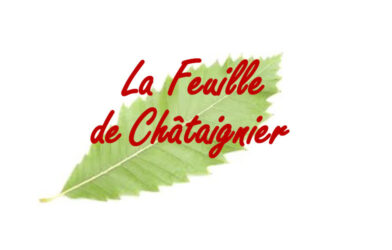 La Feuille de Châtaignier